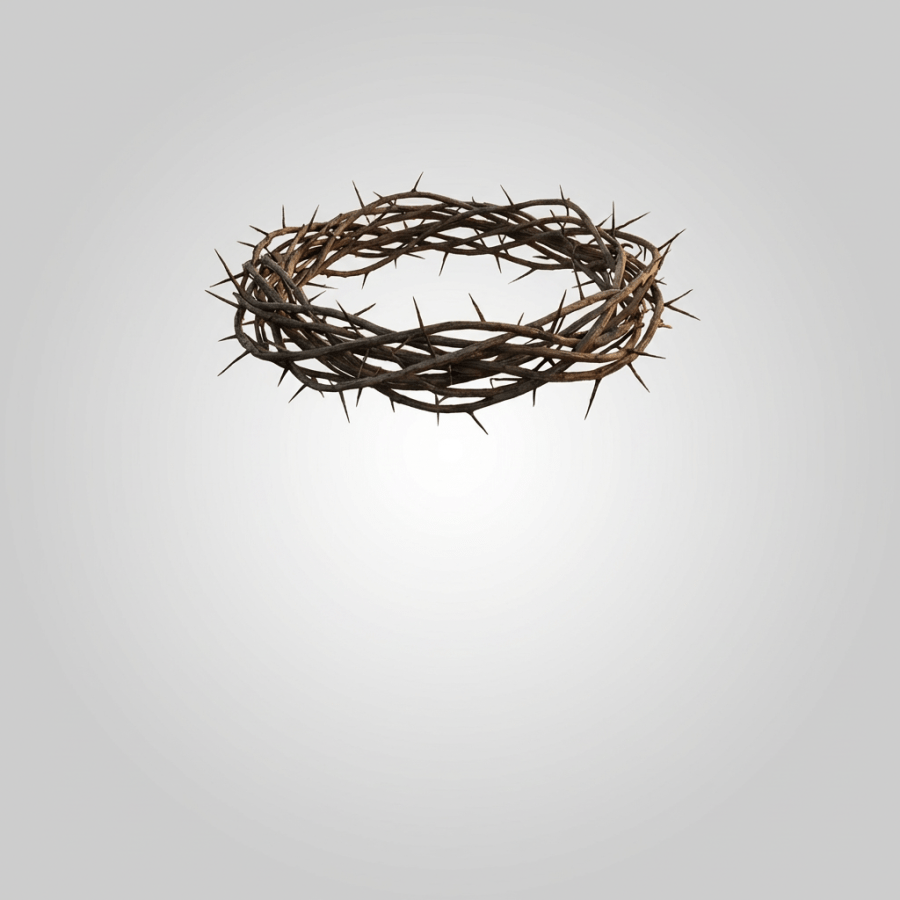 A crown of thorns floats above a blooming meadow of wildflowers at sunrise.